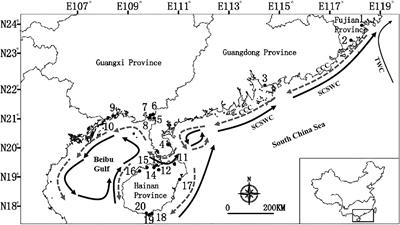 Ocean Currents Drove Genetic Structure of Seven Dominant Mangrove Species Along the <mark class="highlighted">Coastlines</mark> of Southern China
